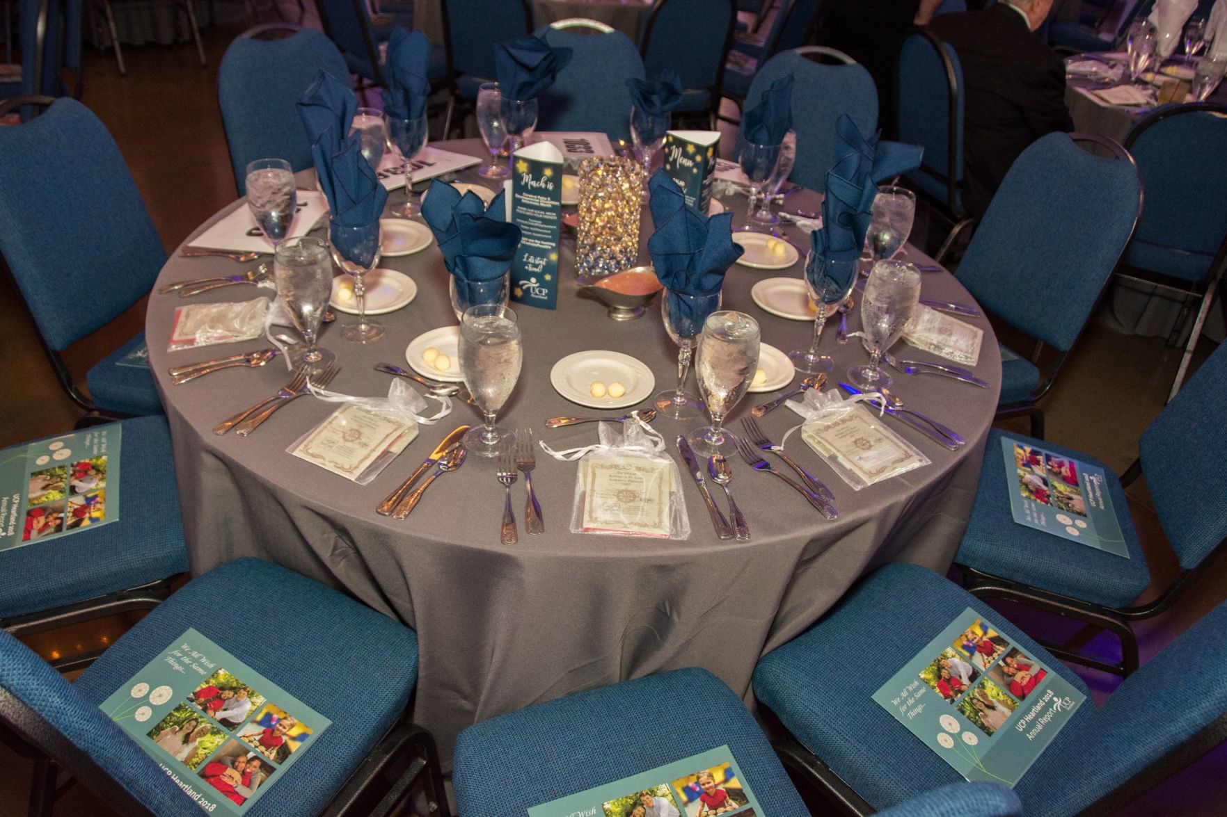 UCP Heartland 2019 Dream Gala: Dreaming of Possibilities
